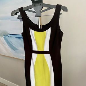 Beautiful chartreuse knee length dress. Pairs perfectly with black heals.